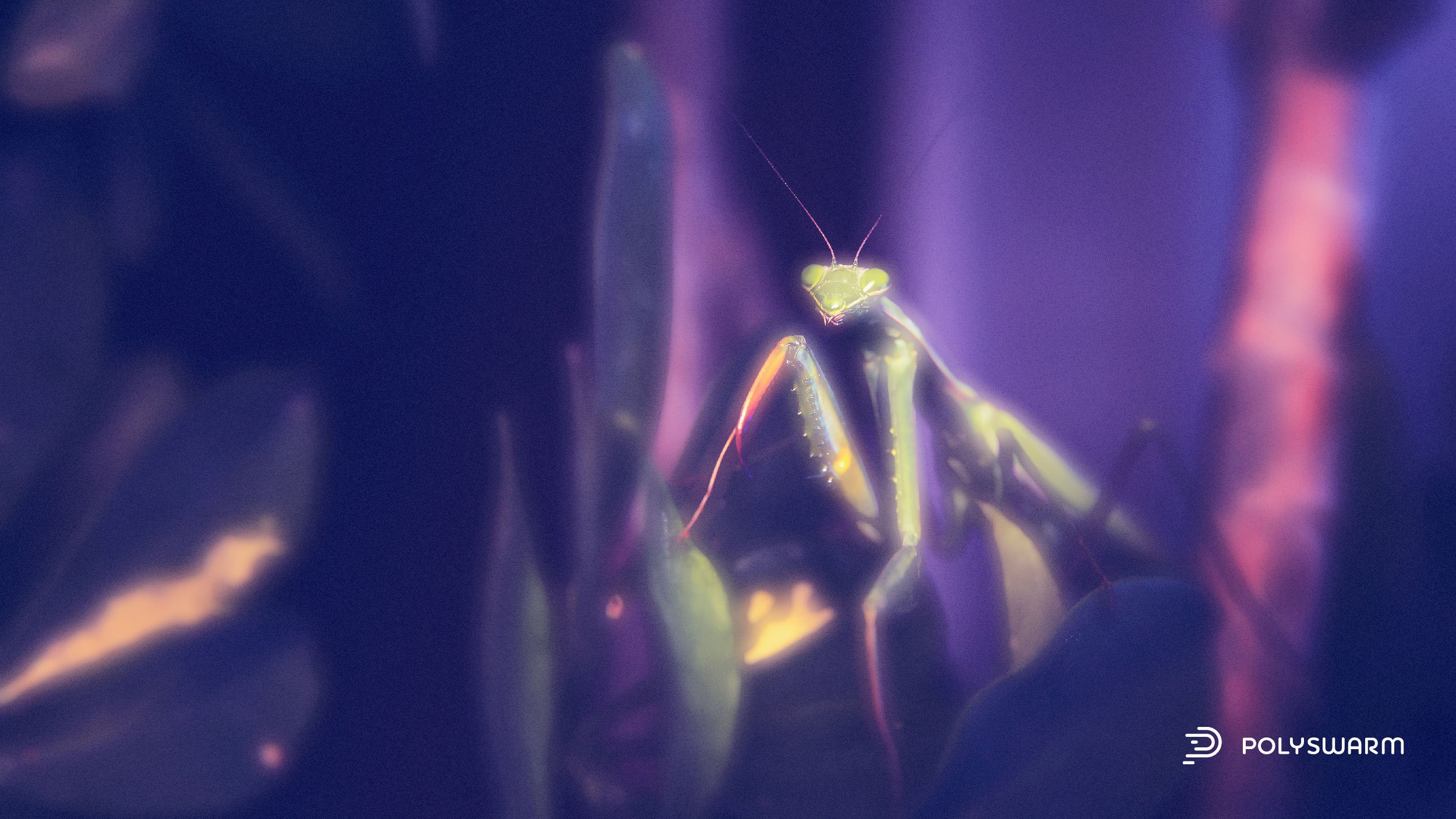 Roaming Mantis Wroba.o Android Malware 
