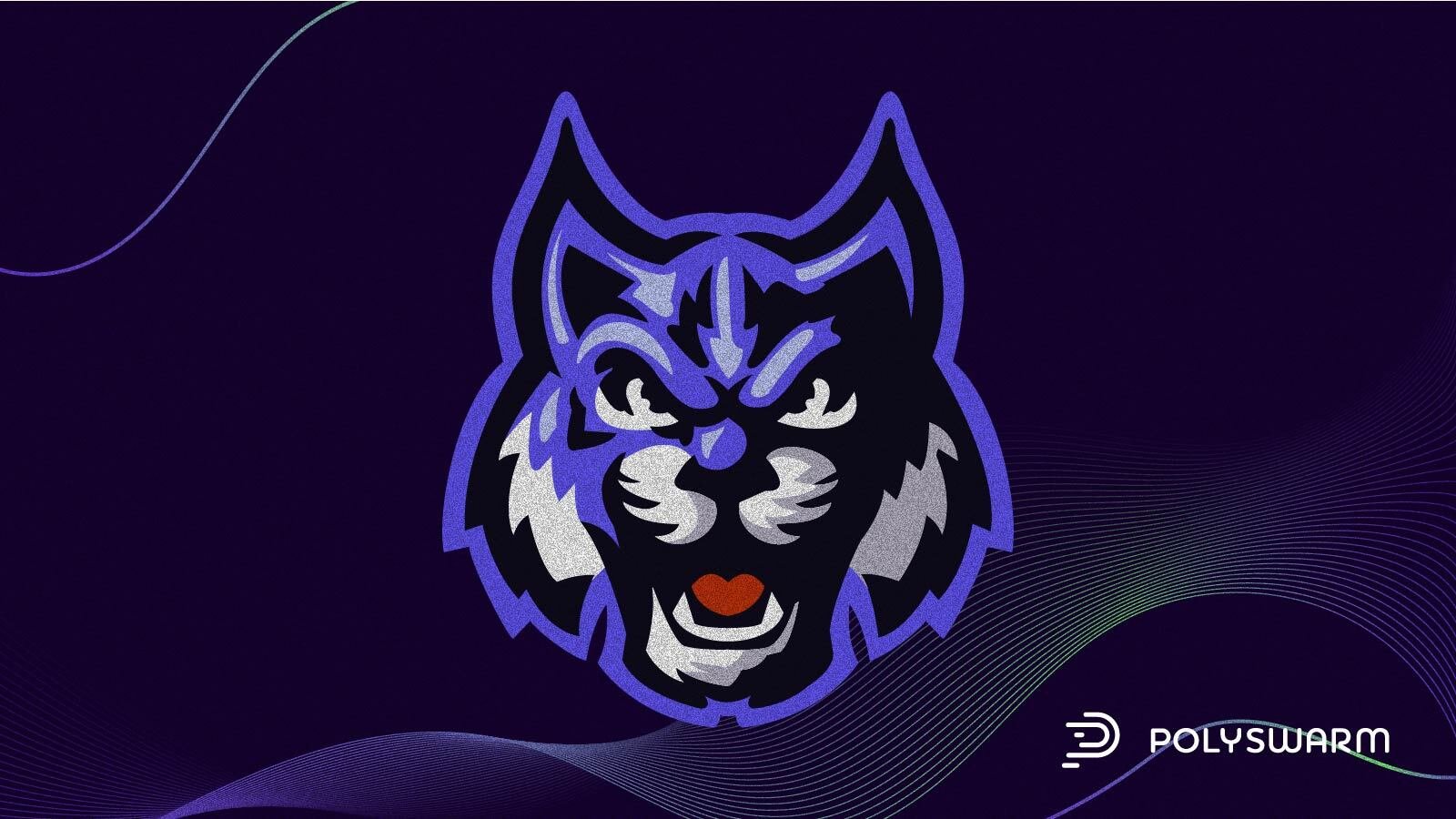 MIRAGE KITTEN 2026